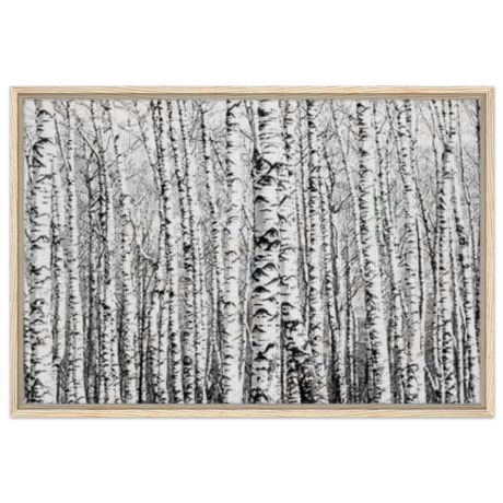 Winter Birch – A Minimalist Forest Escape Wall art - Framed Canvas - 60x90 cm / 24x36″ - Wood frame