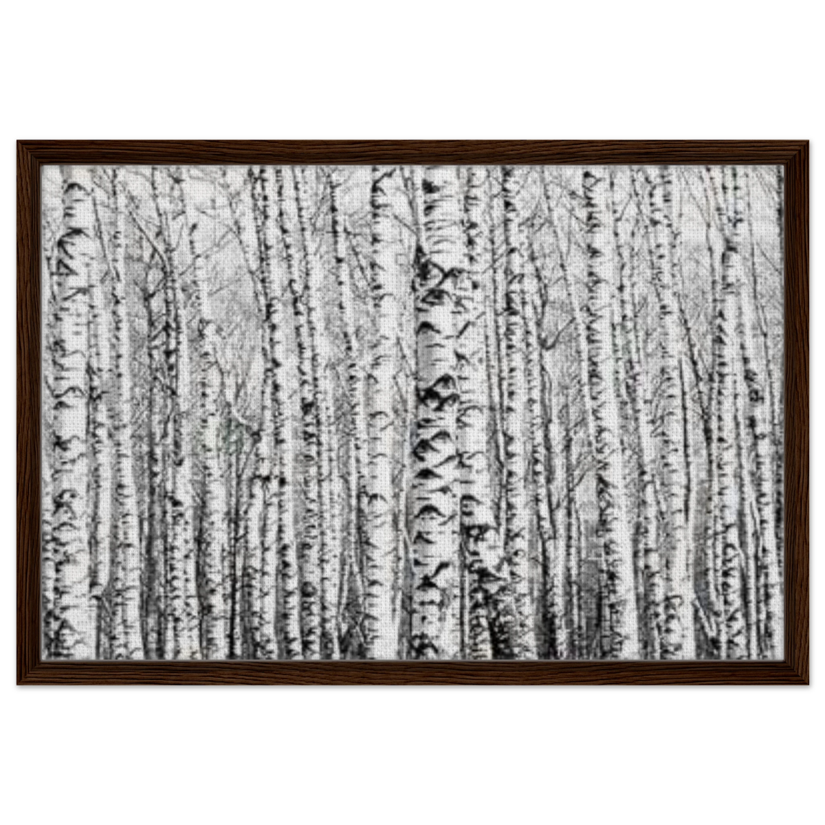 Winter Birch – A Minimalist Forest Escape Wall art - Framed Canvas - 50x75 cm / 20x30″ - Dark wood frame
