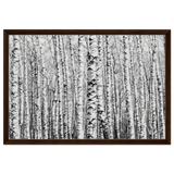 Winter Birch – A Minimalist Forest Escape Wall art - Framed Canvas - 50x75 cm / 20x30″ - Dark wood frame