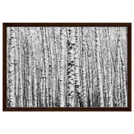 Winter Birch – A Minimalist Forest Escape Wall art - Framed Canvas - 50x75 cm / 20x30″ - Dark wood frame