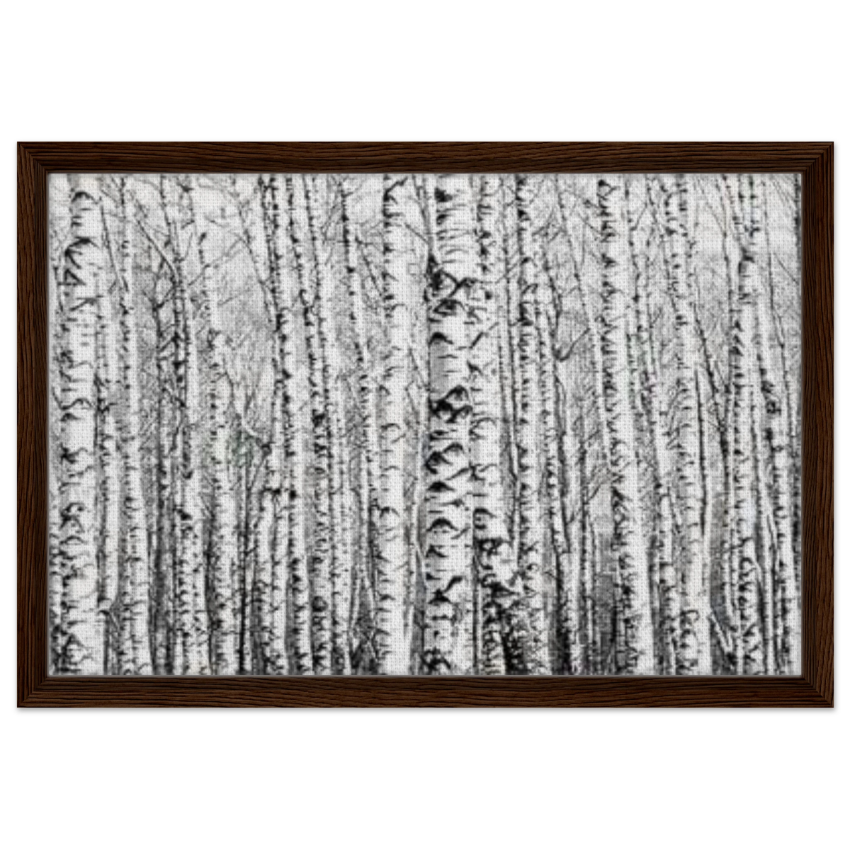 Winter Birch – A Minimalist Forest Escape Wall art - Framed Canvas - 40x60 cm / 16x24″ - Dark wood frame