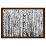 Winter Birch – A Minimalist Forest Escape Wall art - Framed Canvas - 40x60 cm / 16x24″ - Dark wood frame