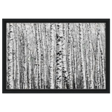 Winter Birch – A Minimalist Forest Escape Wall art - Framed Canvas - 40x60 cm / 16x24″ - Black frame