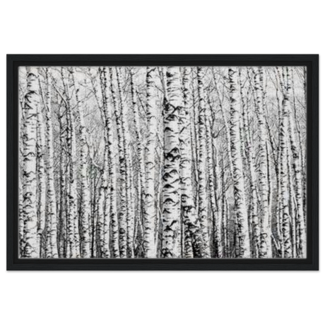 Winter Birch – A Minimalist Forest Escape Wall art - Framed Canvas - 40x60 cm / 16x24″ - Black frame