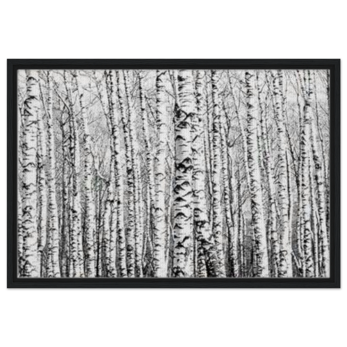 Winter Birch – A Minimalist Forest Escape Wall art - Framed Canvas - 50x75 cm / 20x30″ - Black frame
