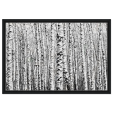 Winter Birch – A Minimalist Forest Escape Wall art - Framed Canvas - 50x75 cm / 20x30″ - Black frame