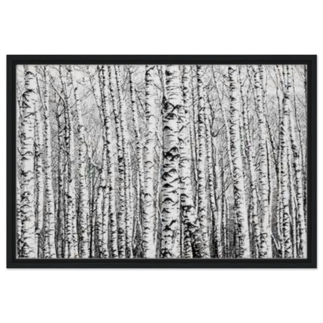 Winter Birch – A Minimalist Forest Escape Wall art - Framed Canvas - 50x75 cm / 20x30″ - Black frame