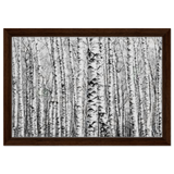 Winter Birch – A Minimalist Forest Escape Wall art - Framed Canvas - 30x45 cm / 12x18″ - Dark wood frame