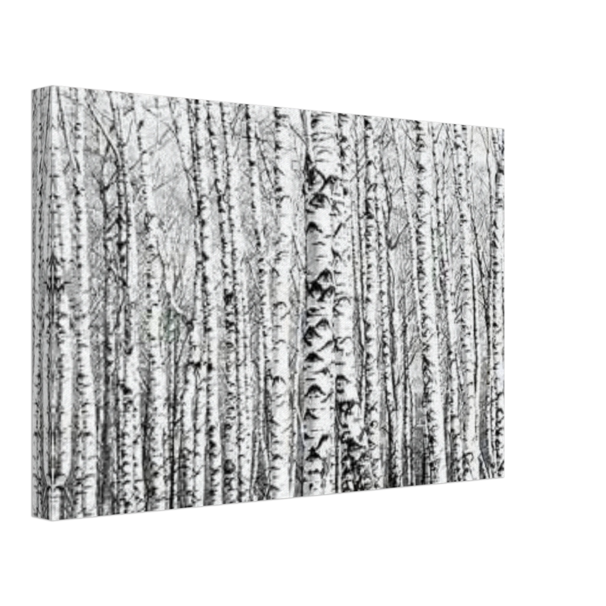 Winter Birch – A Minimalist Forest Escape Wall art - Canvas - 30x45 cm / 12x18″ - 