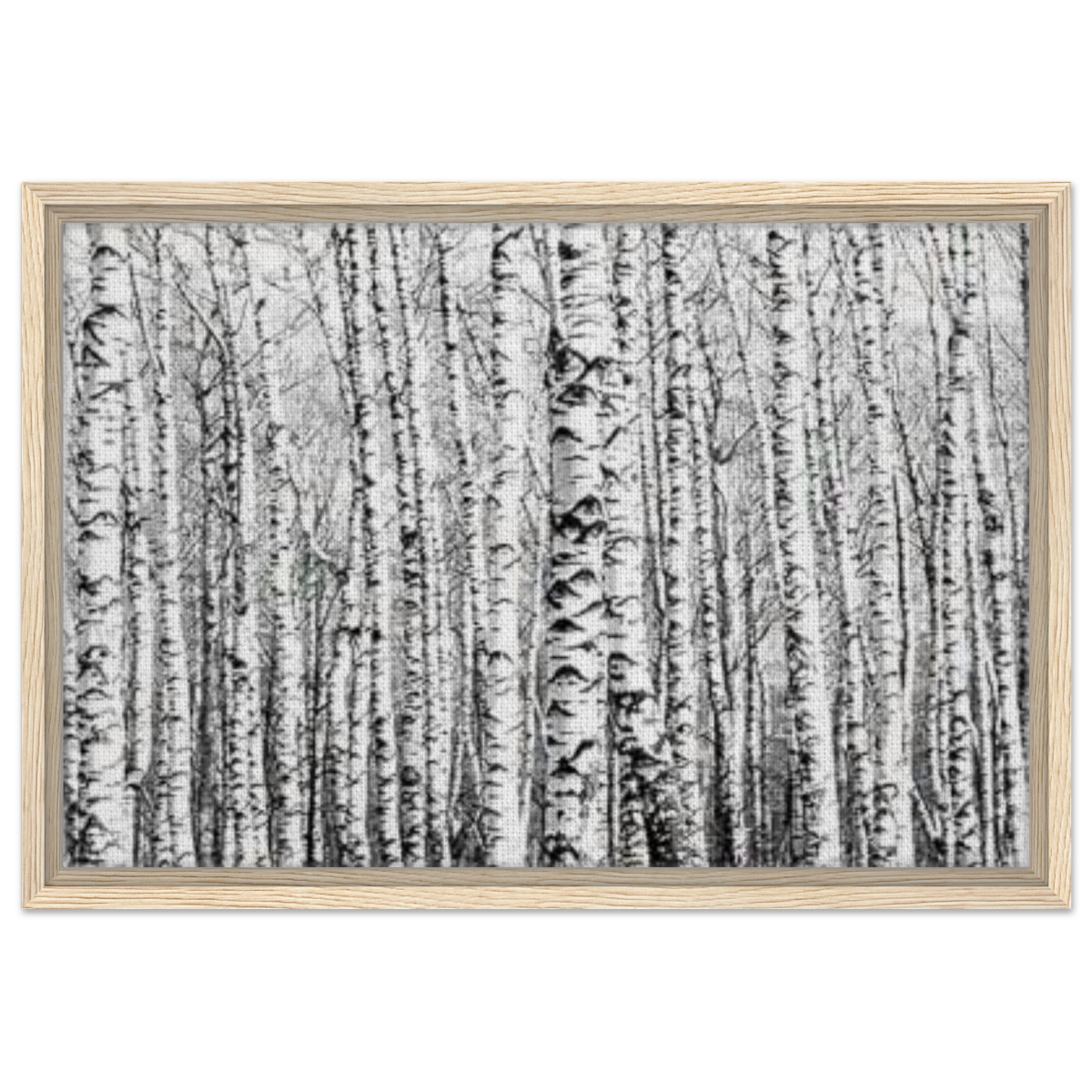 Winter Birch – A Minimalist Forest Escape Wall art - Framed Canvas - 40x60 cm / 16x24″ - Wood frame