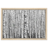 Winter Birch – A Minimalist Forest Escape Wall art - Framed Canvas - 40x60 cm / 16x24″ - Wood frame