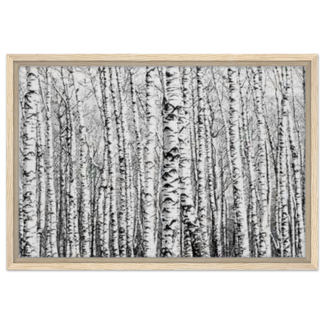 Winter Birch – A Minimalist Forest Escape Wall art - Framed Canvas - 40x60 cm / 16x24″ - Wood frame