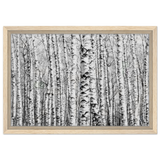 Winter Birch – A Minimalist Forest Escape Wall art - Framed Canvas - 30x45 cm / 12x18″ - Wood frame