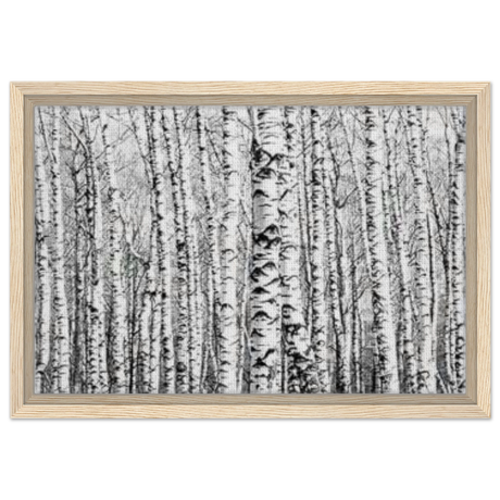 Winter Birch – A Minimalist Forest Escape Wall art - Framed Canvas - 30x45 cm / 12x18″ - Wood frame