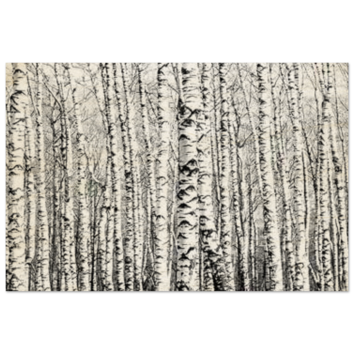 Winter Birch – A Minimalist Forest Escape Wall art - Wood Prints - 40x60 cm / 16x24″ - 