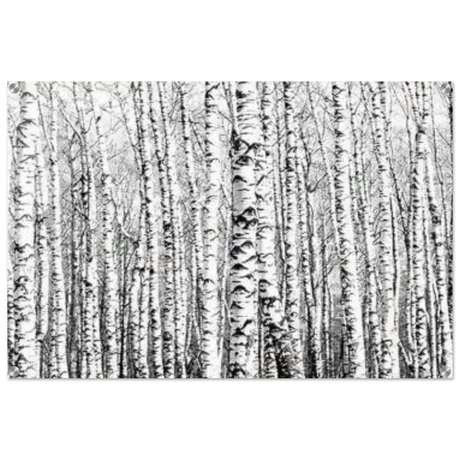 Winter Birch – A Minimalist Forest Escape Wall art - Acrylic Print - 60x90 cm / 24x36″ - 
