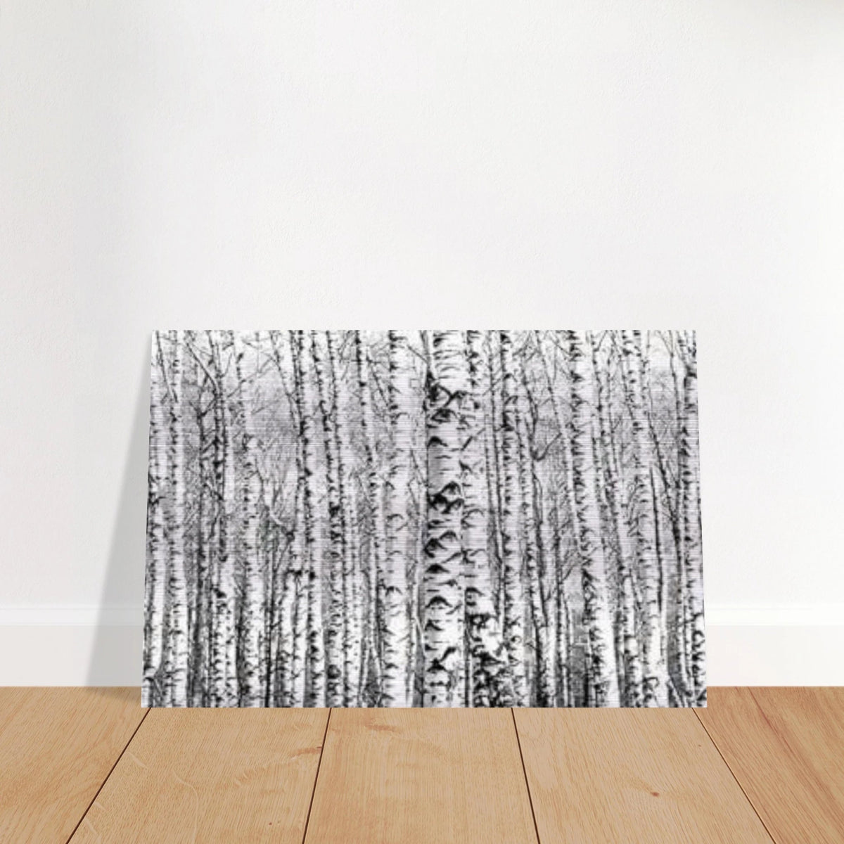 Winter Birch – A Minimalist Forest Escape Wall art - Brushed Aluminum Print - 30x45 cm / 12x18″ - 