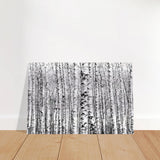 Winter Birch – A Minimalist Forest Escape Wall art - Brushed Aluminum Print - 30x45 cm / 12x18″ - 