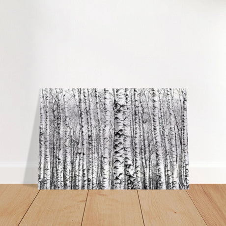 Winter Birch – A Minimalist Forest Escape Wall art - Brushed Aluminum Print - 30x45 cm / 12x18″ - 