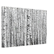 Winter Birch – A Minimalist Forest Escape Wall art - Canvas - 60x90 cm / 24x36″ - 