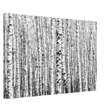 Winter Birch – A Minimalist Forest Escape Wall art - Canvas - 60x90 cm / 24x36″ - 