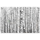 Winter Birch – A Minimalist Forest Escape Wall art - Acrylic Print - 30x45 cm / 12x18″ - 