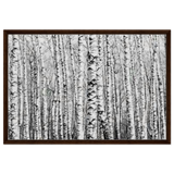 Winter Birch – A Minimalist Forest Escape Wall art - Framed Canvas - 60x90 cm / 24x36″ - Dark wood frame