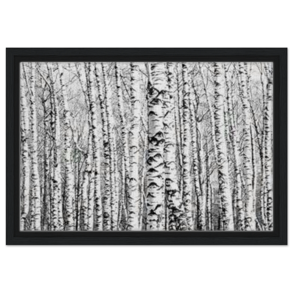 Winter Birch – A Minimalist Forest Escape Wall art - Framed Canvas - 30x45 cm / 12x18″ - Black frame