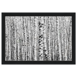 Winter Birch – A Minimalist Forest Escape Wall art - Framed Canvas - 30x45 cm / 12x18″ - Black frame
